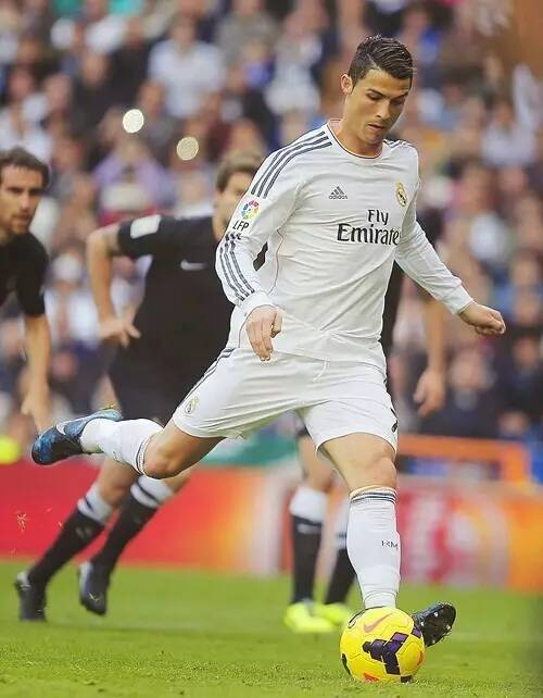 的赛场上仍 的赛场上仍